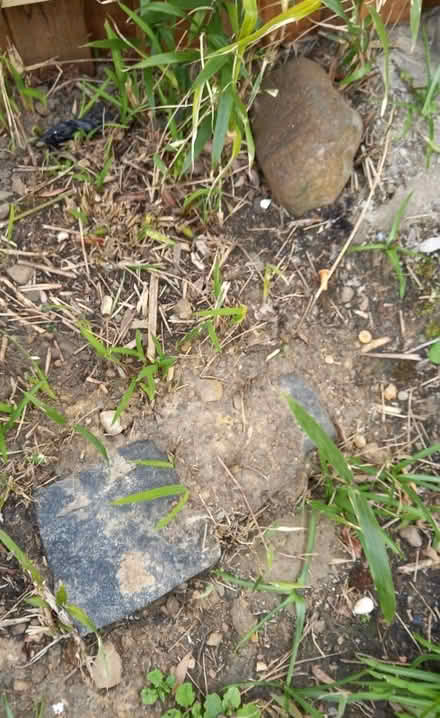 Photo of free Stones (Kirkliston EH29) #2
