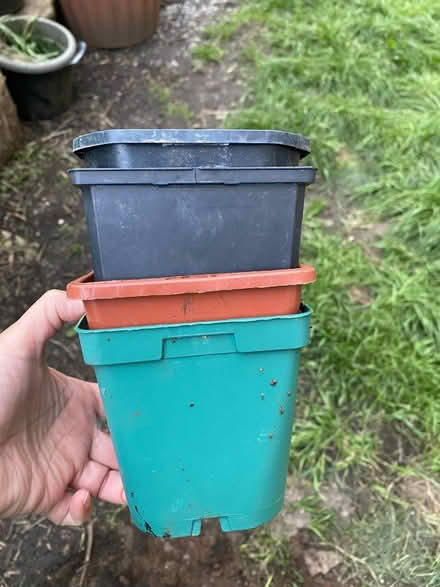 Photo of free Plant Pots (Acton W3 8) #1