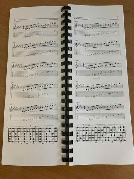 Photo of free guitar book (NN3 Meadowfields) #2