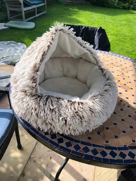 Photo of free Cat bed (Molesey KT8) #1