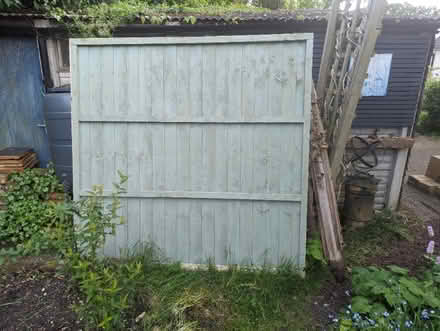 Photo of free 2 New fence panels (Ware SG12) #1