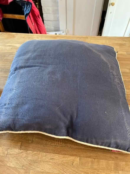 Photo of free Cushion (Cricket Road OX4) #2