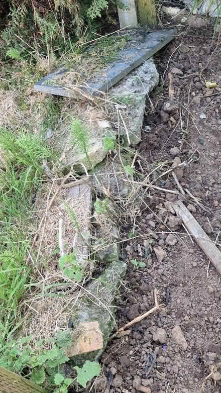 Photo of free Stones for rockery bedding (Queens Park) #1