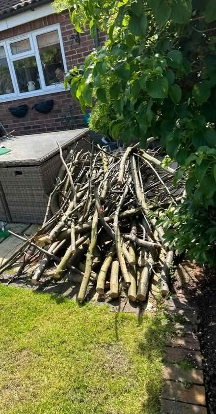 Photo of free Fire wood (BR2) #1