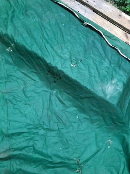 Photo of free Shed Clear-Out: Marque Cover (Oaklands, St Albans) #3