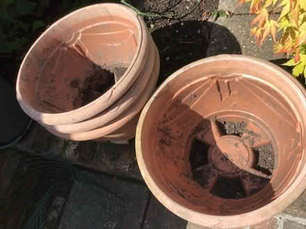 Photo of free Decorative Pots 4 x large (Churchgate EN8) #2