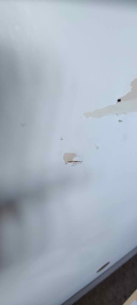 Photo of free Ikea malm white single bed frame (Saltdean BN2) #2