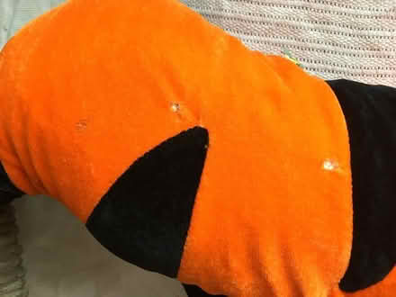 Photo of free Giant orange shark soft toy (Slyfield GU1) #4