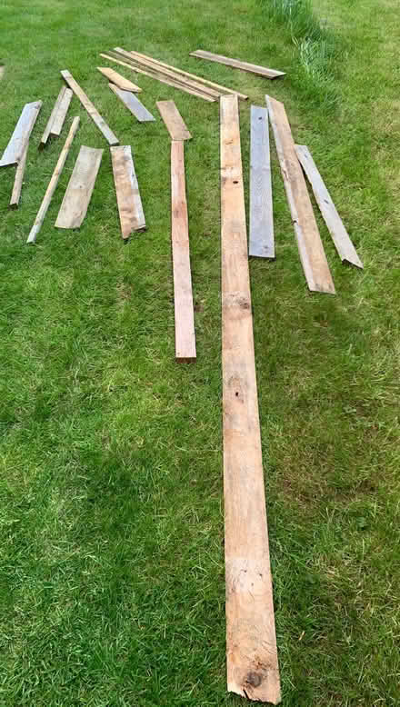 Photo of free Wood (Nuthall, Beeston) #1
