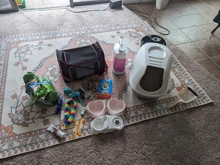 Photo of free Cat care (Hermann/Rice) #1