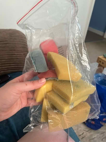 Photo of free Old sponges (Bedford MK40) #1
