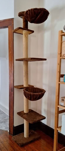 Photo of free Cat Tree (Middletown, NY) #1