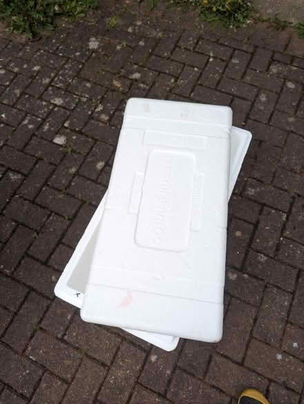 Photo of free Polystyrene coolers x2 (Southhouse EH17) #2