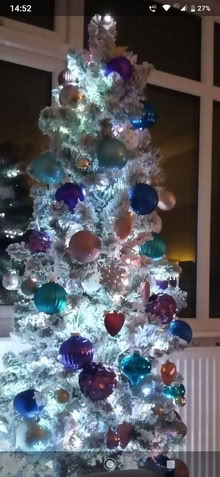 Photo of free 6ft slim christmas tree (Heswall CH61) #1