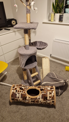 Photo of free Cat toys and accessories (Doncaster DN4) #1