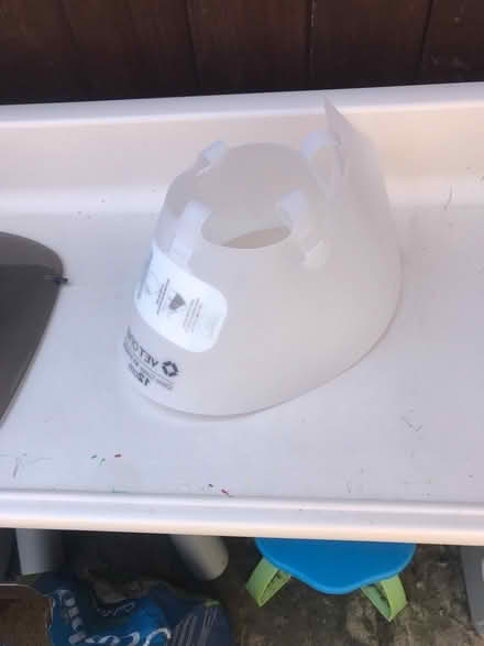 Photo of free Cat Accessories (Hythe,) #3