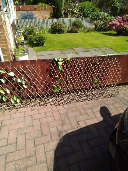 Photo of free Folding garden trellis (Oxton) #2