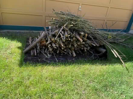 Photo of free Wood for Outdoor Burn (Woodinville) #1