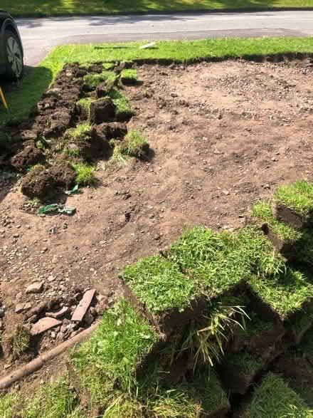 Photo of free Turf - Freshly Dug (CV9) #3