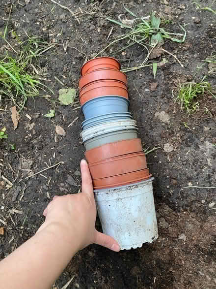 Photo of free Plant Pots (Acton W3 8) #3