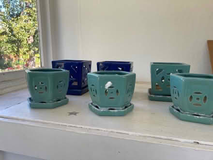 Photo of free 6 matching orchid pots (Downtown) #2