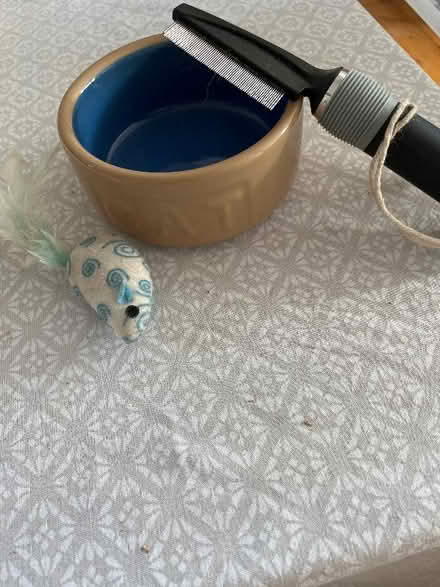 Photo of free Things for cat (Cricket Road OX4) #1