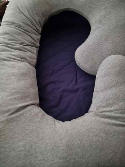 Photo of free Pregnancy pillow (EH6 Pillans Walk) #2