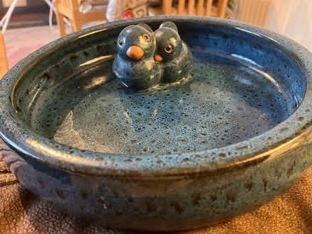 Photo of free Bird bath 🐦 (Waddon) #1