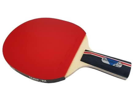 Photo of table tennis bat (Hassocks BN6) #1