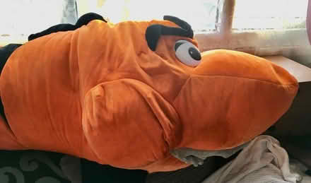 Photo of free Giant orange shark soft toy (Slyfield GU1) #2