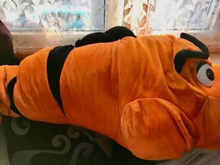 Photo of free Giant orange shark soft toy (Slyfield GU1) #3