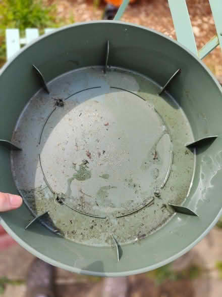 Photo of free Large plastic deep saucer for flower pot (Lightpill GL5) #2