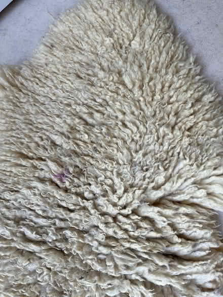 Photo of free Sheepskin (Cricket Road OX4) #1