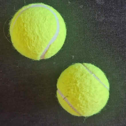Photo of free Tennis balls (Gallowgate, G40) #1