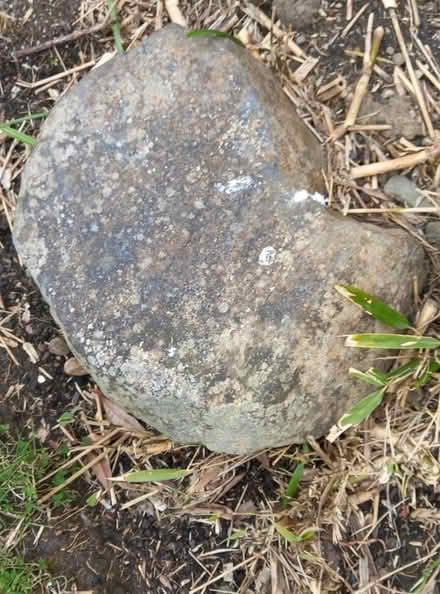 Photo of free Stones (Kirkliston EH29) #3
