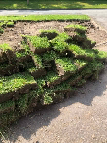 Photo of free Turf - Freshly Dug (CV9) #1