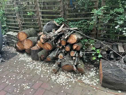 Photo of free firewood (pick up only) (Clinton Hill) #2