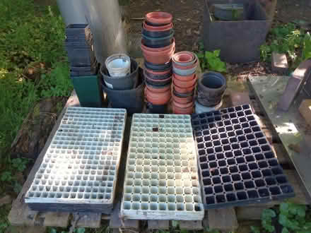 Photo of free Plant pots and module trays (Irish Fields LS21) #1
