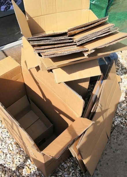 Photo of free Assorted boxes ideal for packing (Exmouth, Rivermead area) #1
