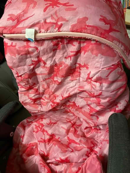 Photo of free Girls sleeping bag (Norbury SW16) #4