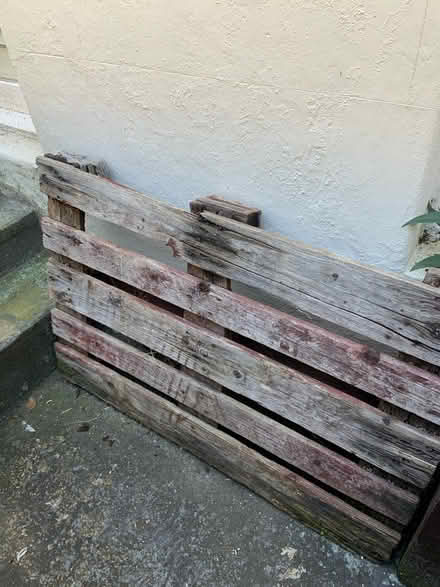 Photo of free Pallet (BN2)