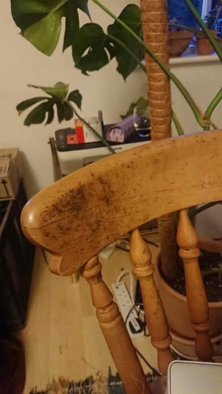 Photo of free Three wooden chairs (LS2) #2
