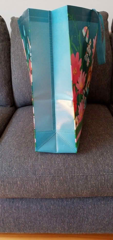 Photo of free Large shopping / carrying bag (Hintonburg) #2