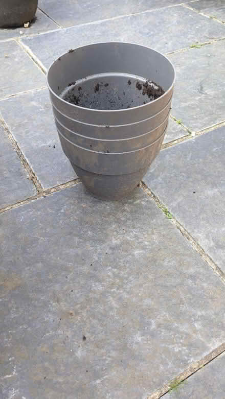Photo of free 5 plastic garden pots (Willesden Green) #1