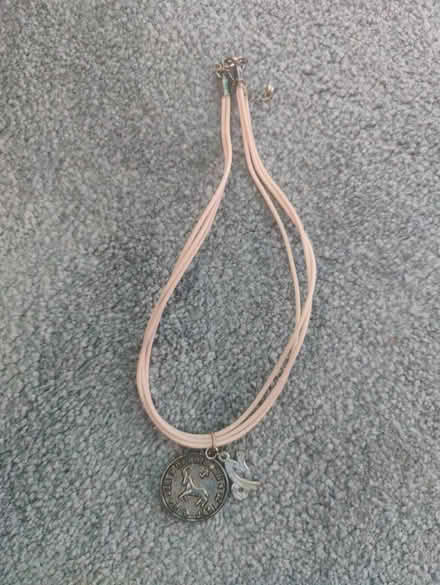 Photo of free Pink Capricorn necklace (Bromley SE26) #1