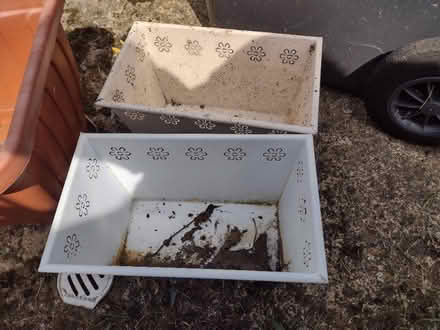Photo of free Various Planters (Hinckley LE10) #2