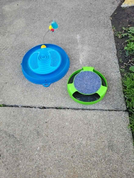 Photo of free Cat toys (Jeff Park 60630) #1