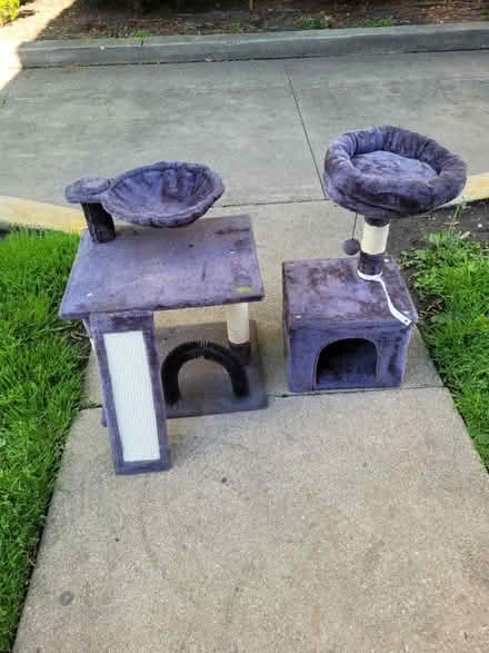 Photo of free Cat tree (Jeff Park 60630) #2