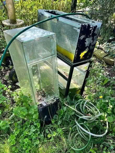 Photo of free Three Glass fish tanks and Stand (Meltonby YO42) #1