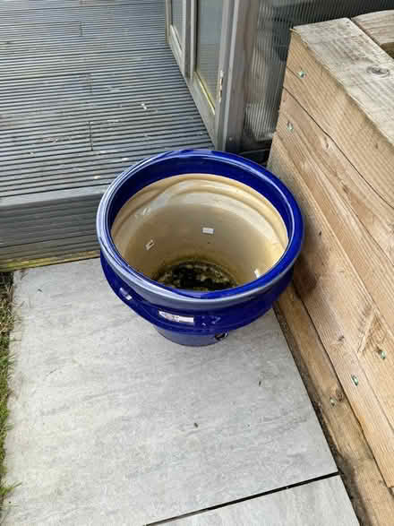 Photo of free Large blue ceramic plant pot (EH5) #2